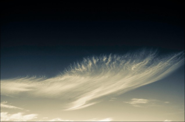 Dolphin shaped clouds