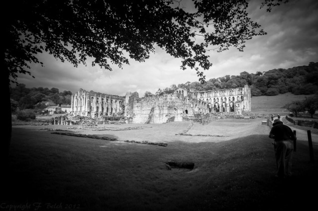 Rievaulx Abbey
