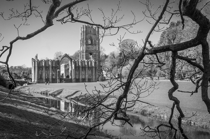 A picture of Fountains Abbey from a vantage point under a tree.