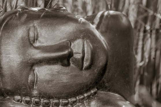 Asleep amongst the Bamboo