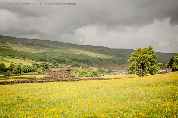 To watermark or not to watermark, that is the question.