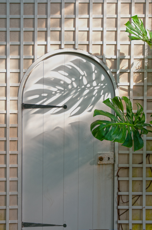 Natural shapes versus angular lines