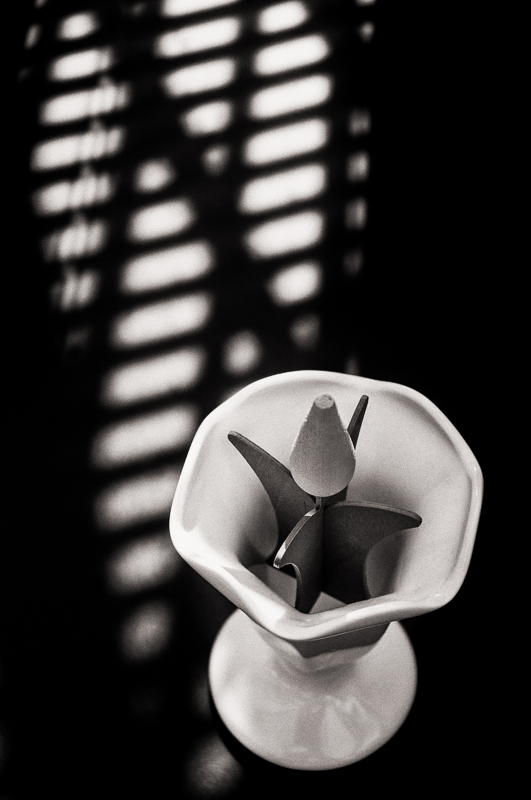 Natural Light on a Fake Flower