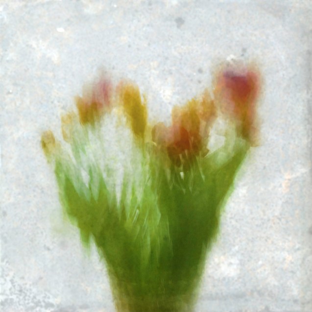 Impressionist tulips