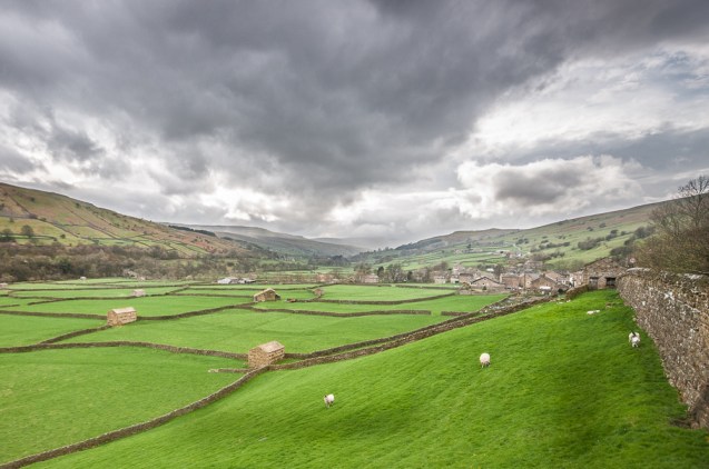 Swaledale field barns