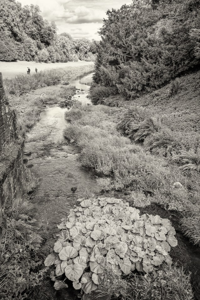 River Skell at Fountains Abbey.