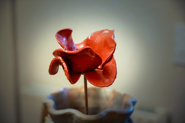 Ceramic Poppy