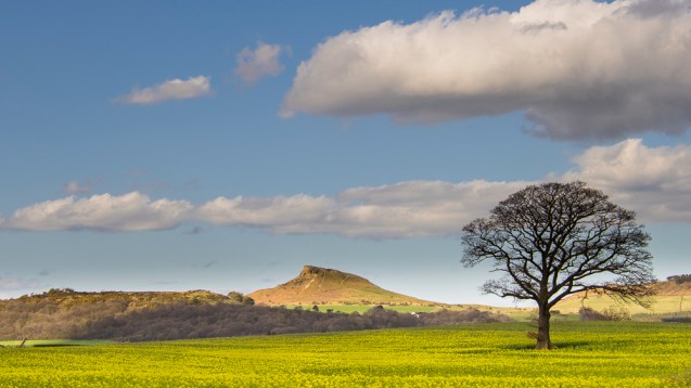 A view of Roseberry Topping.