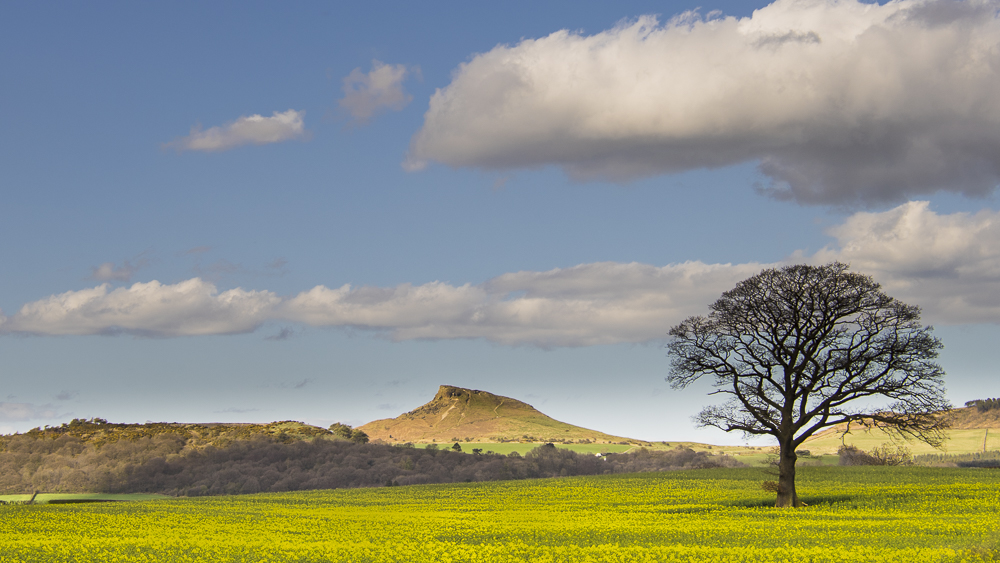 A view of Roseberry Topping.