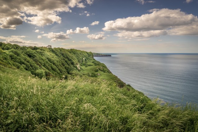 A view from the Clevelnd Way towards Ravenscar.