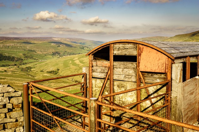 A Swaledale view