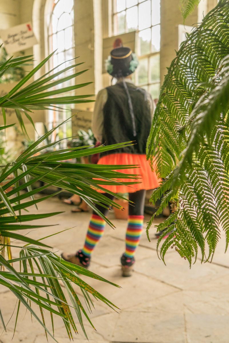 Dunham Massey Orangery