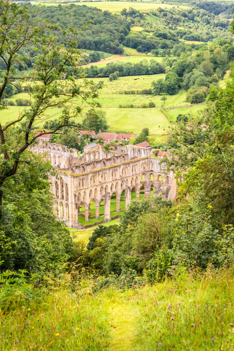 Rievaulx Abbey